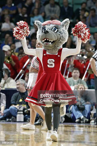 The North Carolina State wolfpack mascot cheers oncourt during the quarter final game of the ACC Tournament against Georgia Tech on March 14, 2003 at...