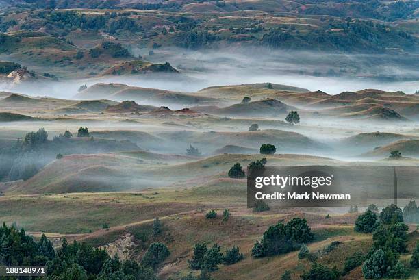 theodore roosevelt nat'l park - north dakota stockfoto's en -beelden