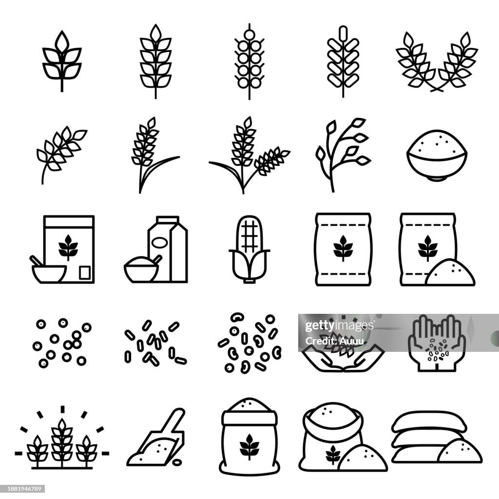 Satz von Getreidesymbolen Set Umrissstil