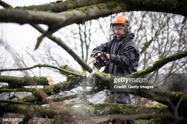 Tree surgeon removes a fallen tree following a tornado on December 28, 2023 in Stalybridge, England. Houses in the Tameside area of Greater...