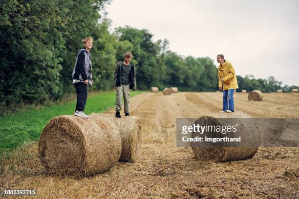teenager hikers playing on straw bales in the cotswolds, gloucestershire, united kingdom - bale stock pictures, royalty-free photos & images