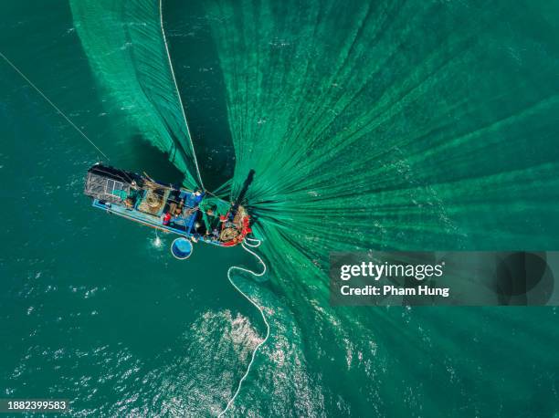 netting anchovies  on tuy hoa sea - rede de pesca comercial imagens e fotografias de stock