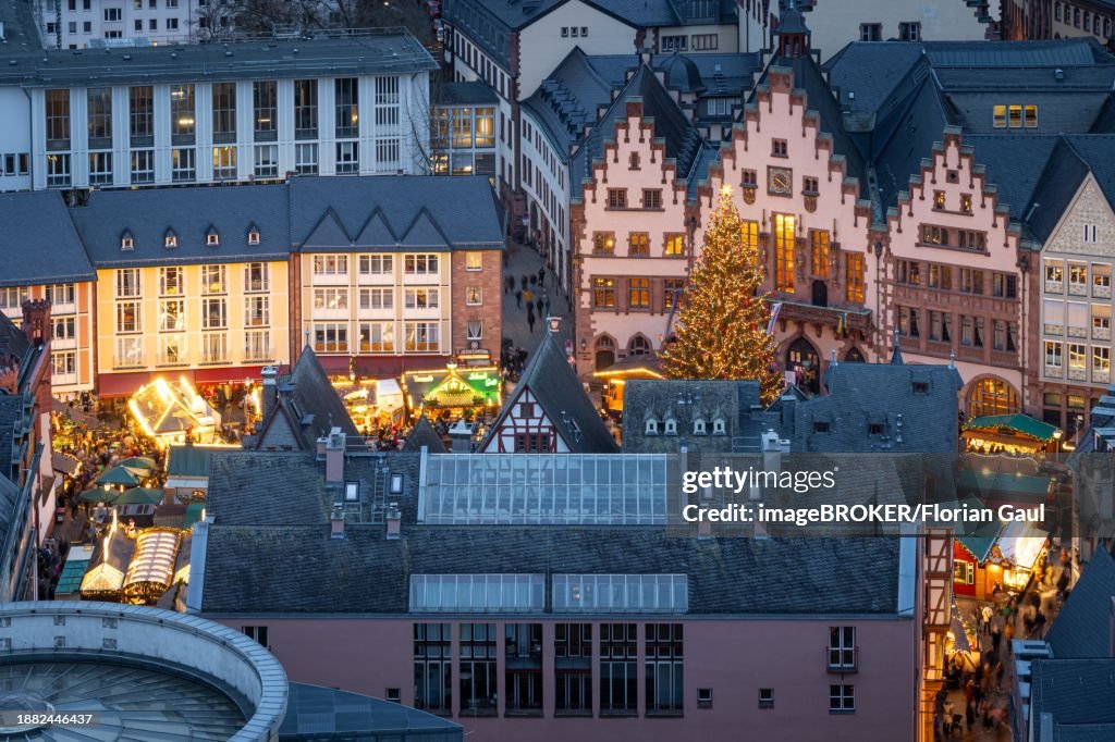Christmas tree Sonny lights up on the Roemerberg in Frankfurt am Main in front of the town hall, Roemerberg, Frankfurt am Main, Hesse, Germany, Europe