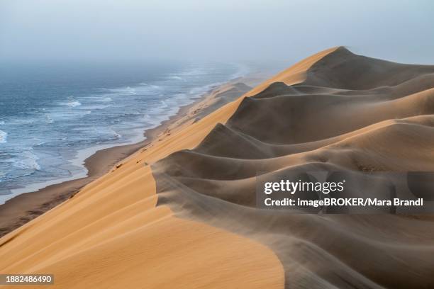 sand dunes and sea in the evening light, wind blows sand over the dunes, view of the atlantic coast from high sand dunes, sandwich harbour, namib naukluft park, namibia, africa - namib naukluft national park stock pictures, royalty-free photos & images