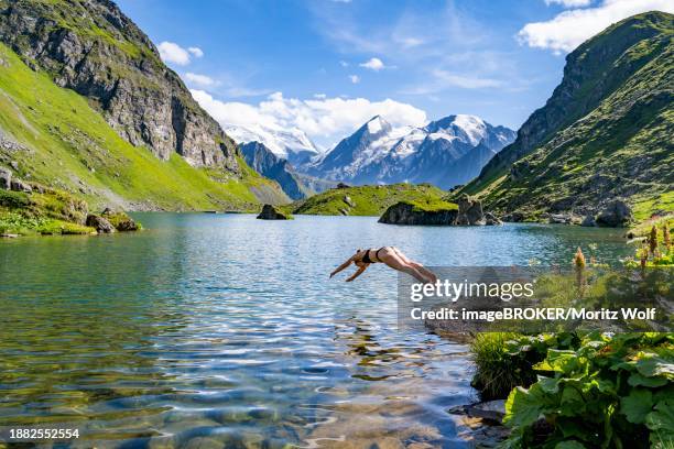 pike jump, young woman with bikini jumps into the clear water of a picturesque mountain lake, lac de louvie, grand combin, valais alps, valais, switzerland, europe - ein bad nehmen stock-fotos und bilder
