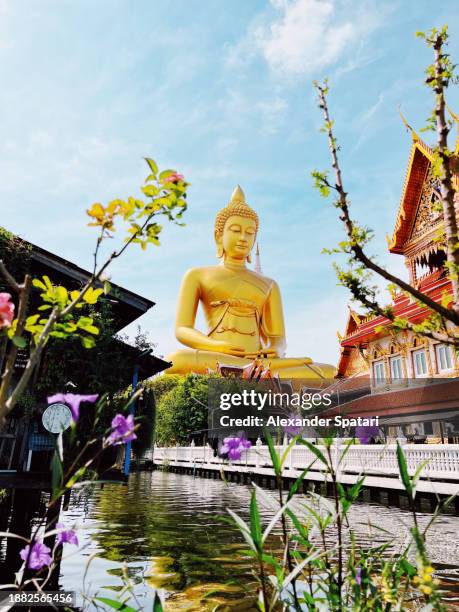 giant buddha wat paknam bhasi charoen temple in bangkok, thailand - wat stock pictures, royalty-free photos & images