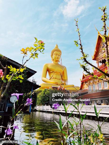 giant buddha wat paknam bhasi charoen temple in bangkok, thailand - wat imagens e fotografias de stock