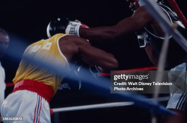 Boxer Ricky Liming 57 Ricky Womack Stock Photos, High-Res Pictures, and Images - Getty Images