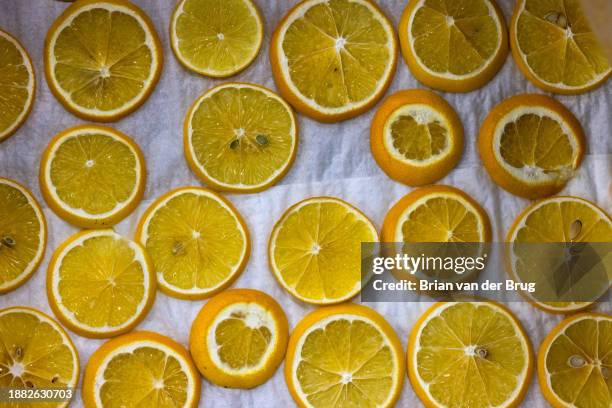 Irwindale, CA Orange slices lay out to dry before being used to decorate Rose Parade floats at Phoenix Decorating Company on Wednesday, Dec. 27, 2023...