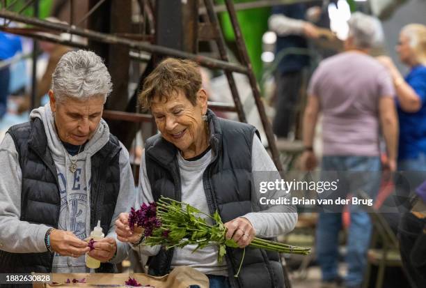 Irwindale, CA Volunteers Andy Greene, left, and Judy Perlman, right, cut flowers for Rose Parade floats at Phoenix Decorating Company on Wednesday,...