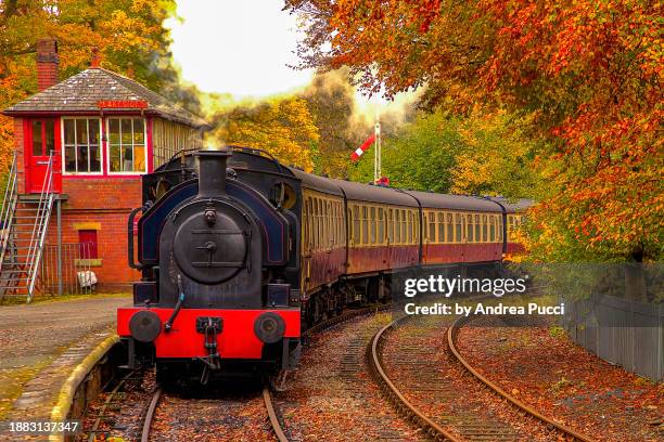 hawkshead, lake district, cumbria, united kingdom - tren de vapor fotografías e imágenes de stock