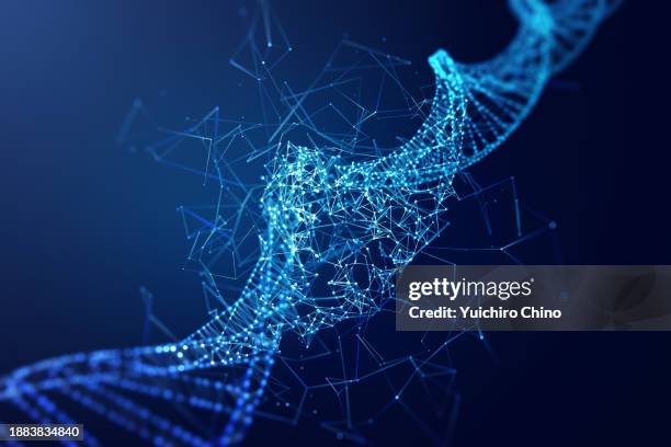 reconstructing dna molecular structure by network - nanotechnologie stockfoto's en -beelden
