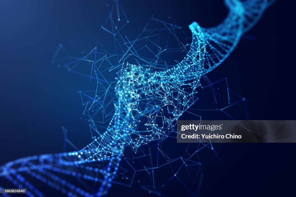 Reconstructing DNA molecular structure by network