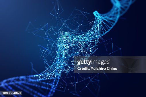 Reconstructing DNA molecular structure by network Reconstructing DNA molecular structure by network