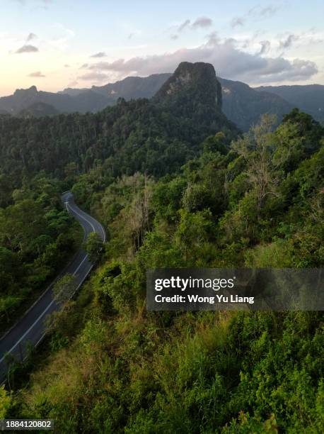 rainforest view at wang kelian , perlis - perlis state park stock pictures, royalty-free photos & images