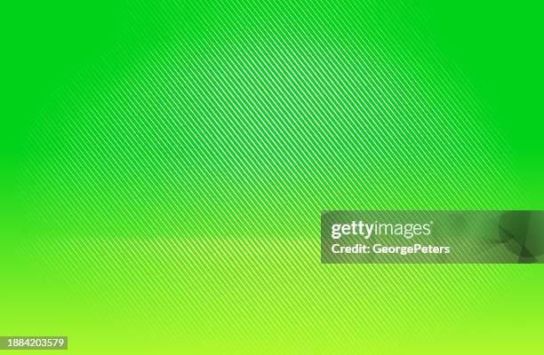 colored studio background - green plain studio background stock illustrations