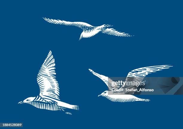 vector drawings of flying seagulls - seagull stock illustrations
