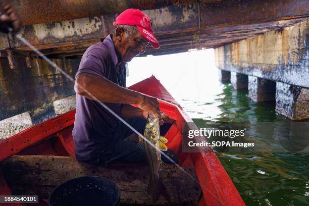 Fisherman holds a fish while fishing below an old oil pump. After being exploited for intense oil extraction for decades, Lake Maracaibo has become...