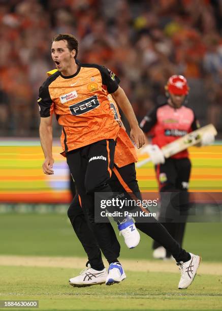 Lance Morris of the Scorchers celebrates the wicket of Quinton de Kock of the Renegades during the BBL match between Perth Scorchers and Melbourne...