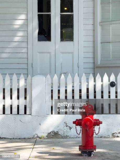 832 Vintage Fire Hydrant Stock Photos, High-Res Pictures, and