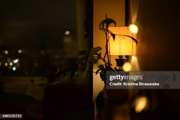 corner of a living room, decorated with plants and christmas lights - philodendron stock pictures, royalty-free photos & images