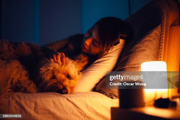 young asian woman sleeping with her dog in bed - orthographic symbol stock pictures, royalty-free photos & images