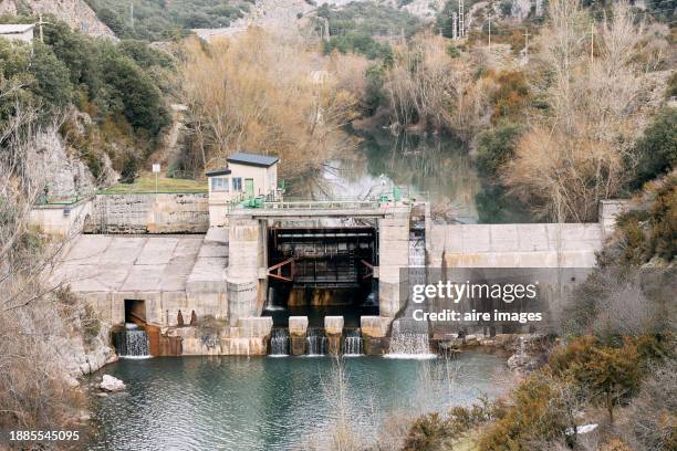 high angle front view of a hydroelectric dam on a lake with a waterfall in the middle of a forest - aragon photos et images de collection