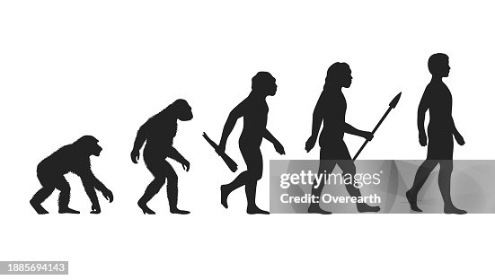 Human Evolution Vector Illustration High-Res Vector Graphic - Getty Images