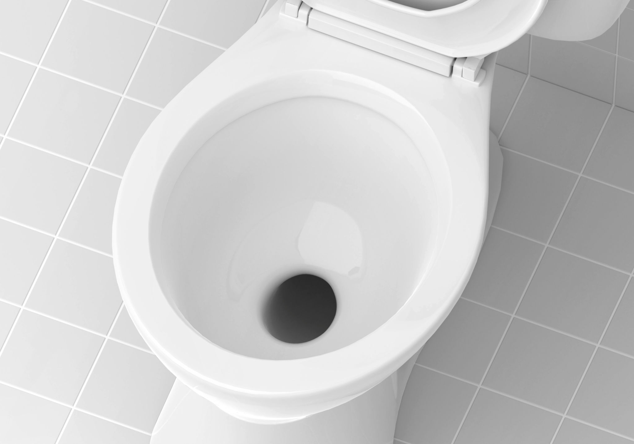 toilet bowl