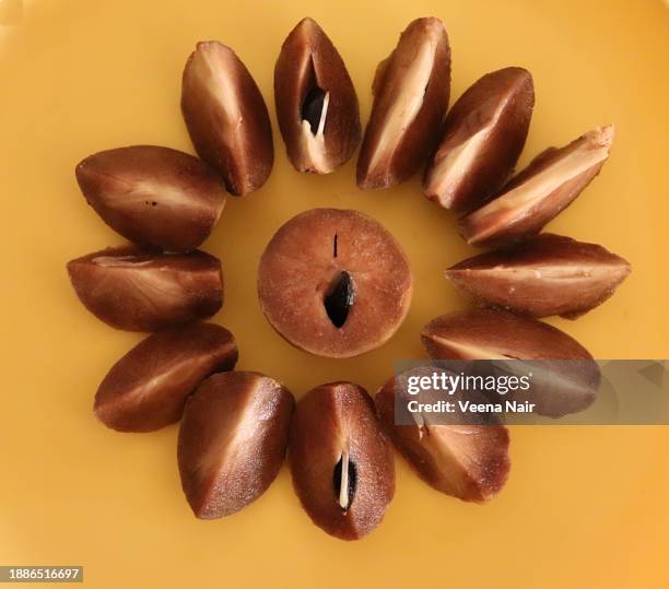 manilkara zapota/sapodilla fruit kept in a row against yellow background - chicle stockfoto's en -beelden