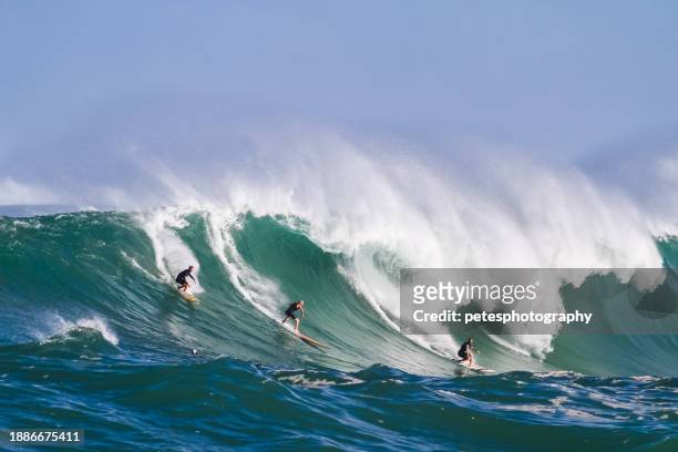 big-wave-surfen in waimea, hawaii - big wave surfing stock-fotos und bilder