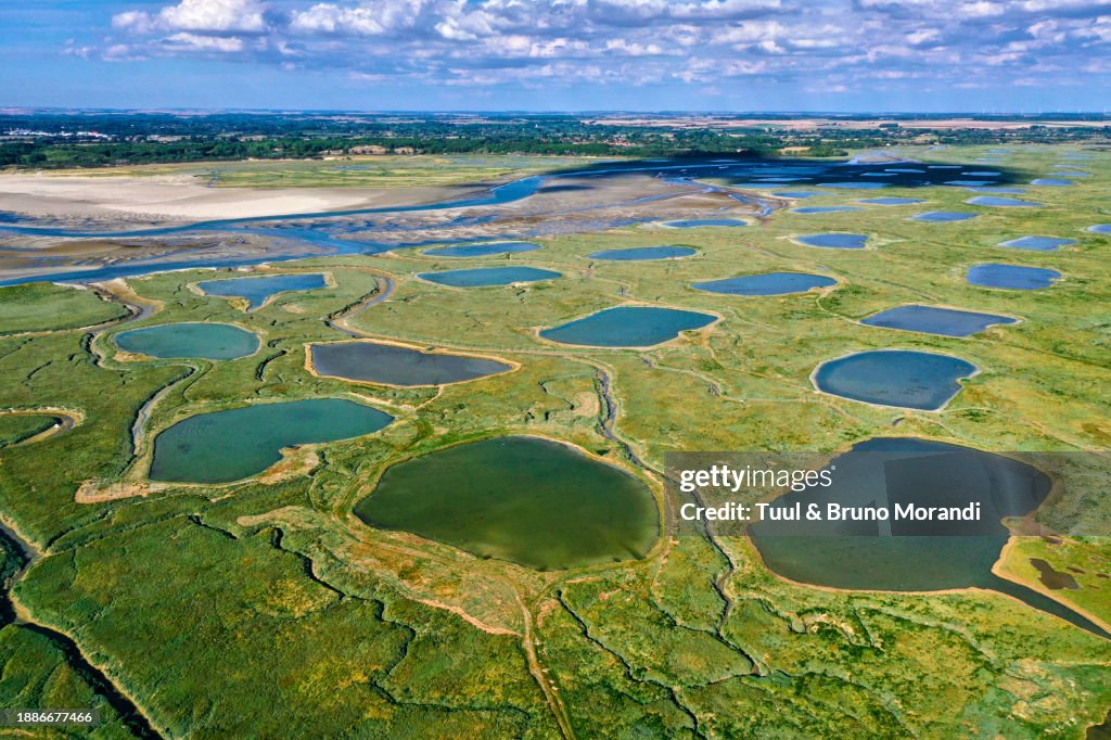 France, Somme, Baie d'Authie, aerial view of the Baie d'Authie
