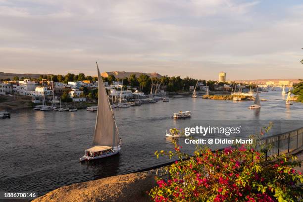 felucca sails on the nile river in aswan in egypt - rio nilo imagens e fotografias de stock