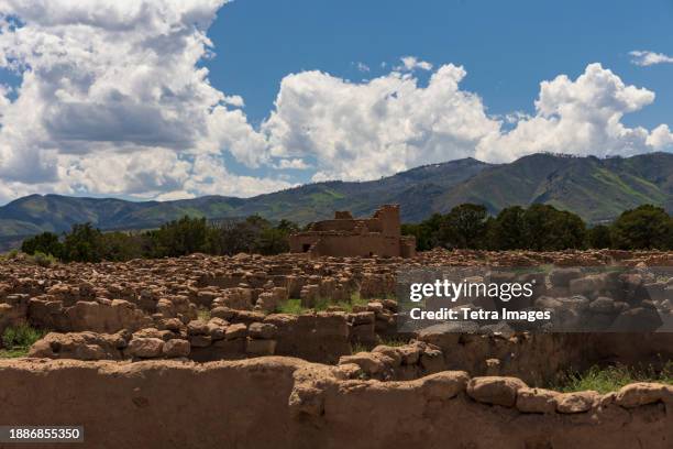 Mithe Puye 61 Puye Stock Photos, High-Res Pictures, and Images - Getty Images