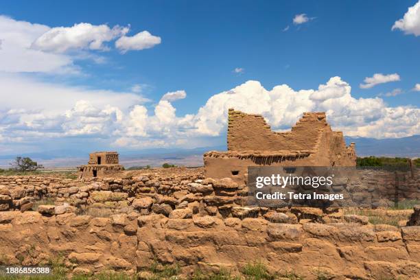 Mithe Puye 51 Puye Stock Photos, High-Res Pictures, and Images - Getty Images
