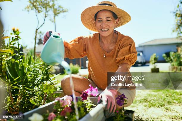 mulher feliz cuidando de seu jardim - primavera estação do ano - fotografias e filmes do acervo