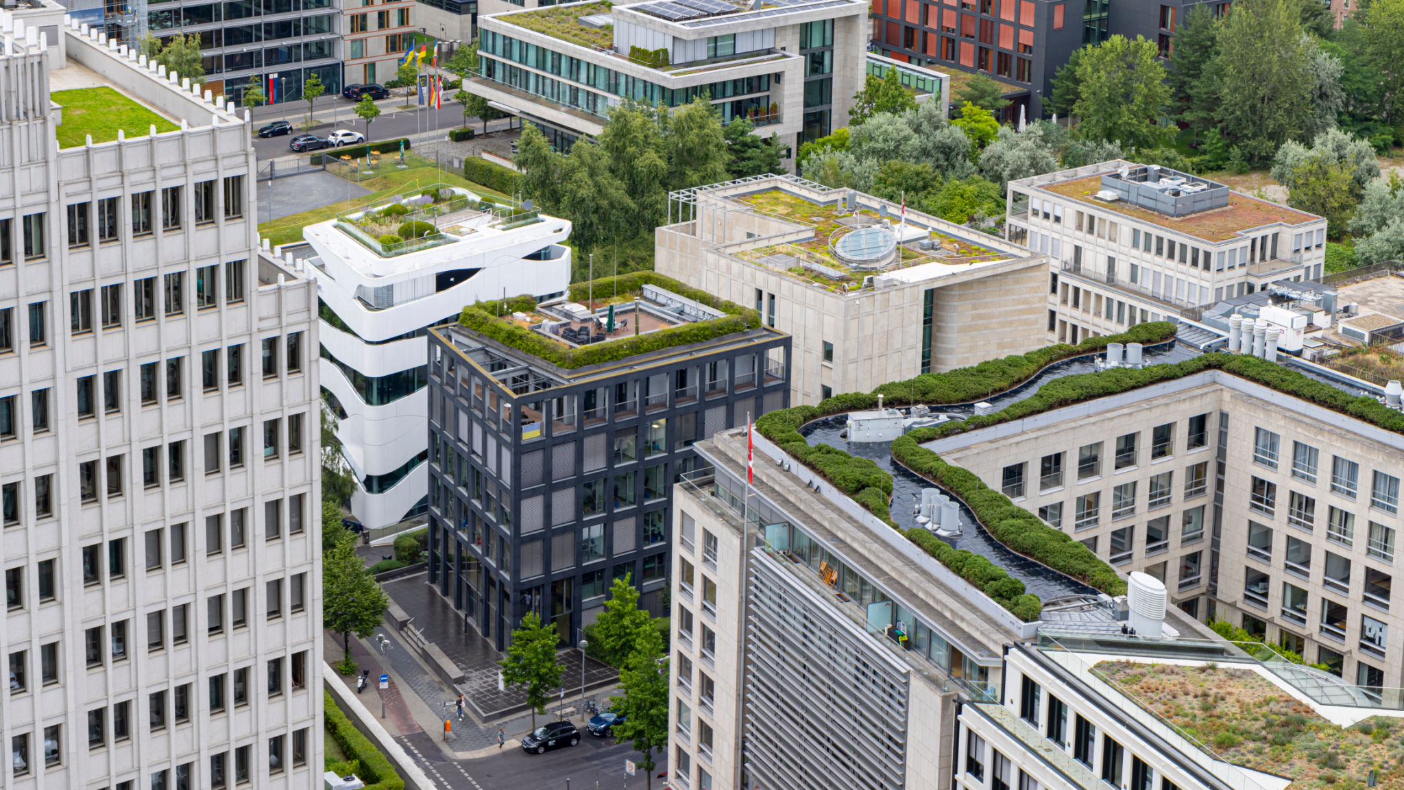 green roof