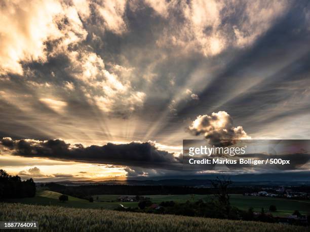 scenic view of field against sky during sunset,burgdorf,bern,switzerland - sonnenstrahlen stock pictures, royalty-free photos & images