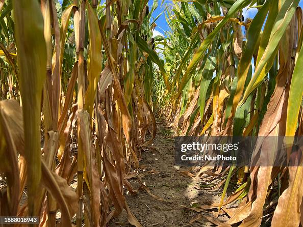 Agriculture In Canada