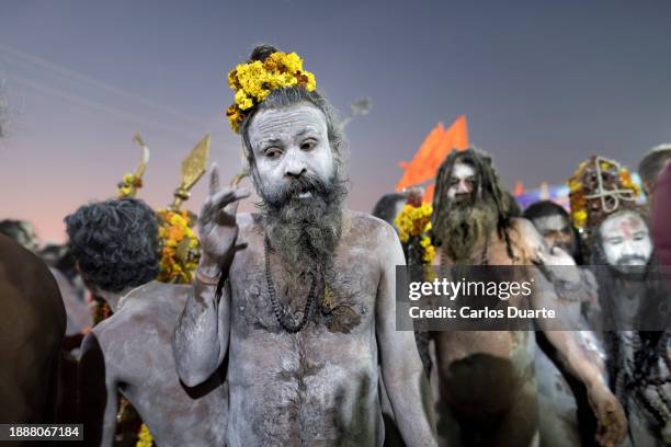 sadhus performs his first shahi snan' (royal bath) during the hindu kumbh mela celebration in hallahabad - kumbh mela stock pictures, royalty-free photos & images