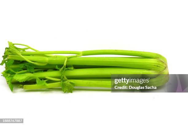 celery on a white background (apium graveolens) - celery stock pictures, royalty-free photos & images
