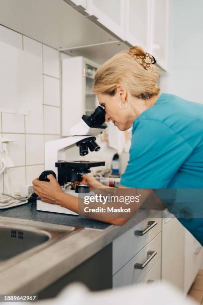 blond female veterinarian examining blood test under microscope at medical clinic - veterinarian background stock pictures, royalty-free photos & images