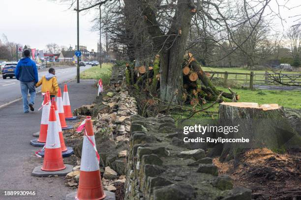 weg und straße geräumt, nachdem ein umgestürzter baum nach einem stürmischen dezemberabend eine hauptstraße aus der stadt cirencester in den cotswolds blockiert hatte. - arbre main stock-fotos und bilder