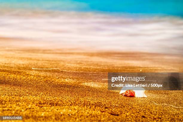 close-up of sand on beach - saint kitts and nevis stock pictures, royalty-free photos & images