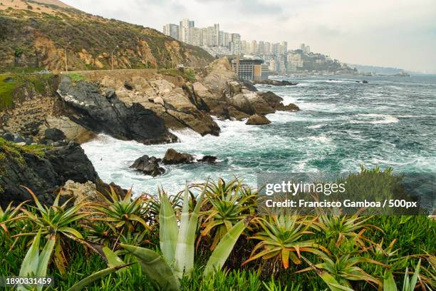 scenic view of sea and buildings against sky - francisco gamboa stock pictures, royalty-free photos & images
