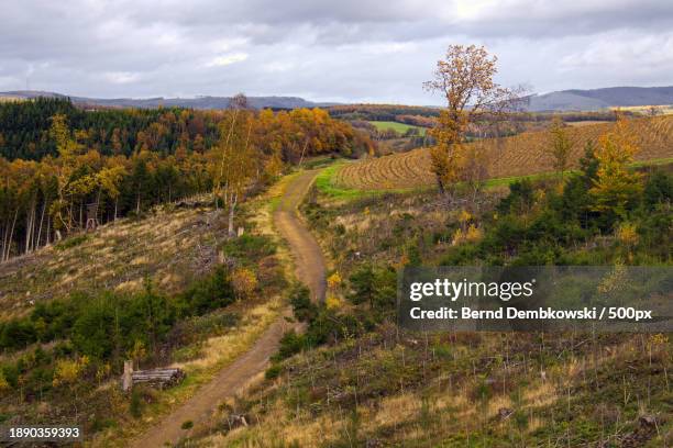 scenic view of landscape against sky during autumn - bernd dembkowski 個照片及圖片檔