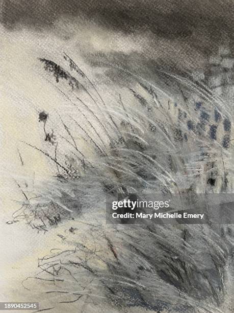 grasses close up - marsh stock illustrations