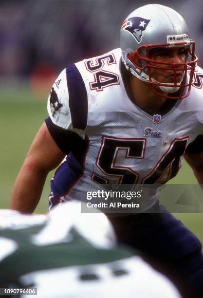 Outside Linebacker Tedy Bruschi of the New England Patriots follows the action in the game between the New England Patriots vs the New York Jets at...