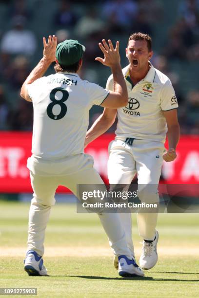 Josh Hazlewood of Australia celebrates the wicket of Babar Azam of Pakistan during day four of the Second Test Match between Australia and Pakistan...