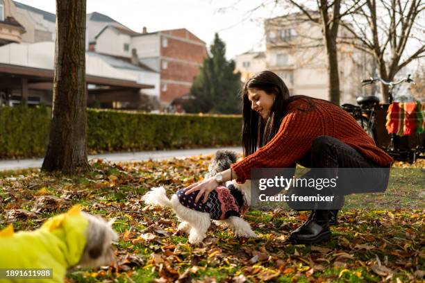 woman playing with her three pets in off- leash dog park - lead off stock pictures, royalty-free photos & images